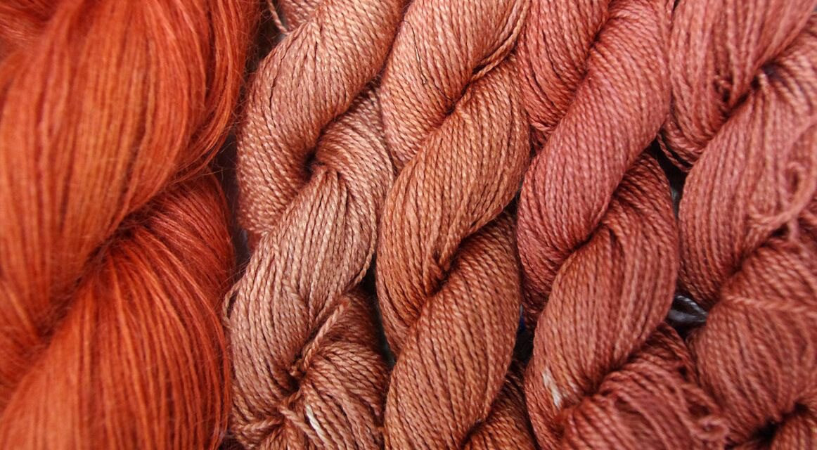 Dyeing Special Interest Group