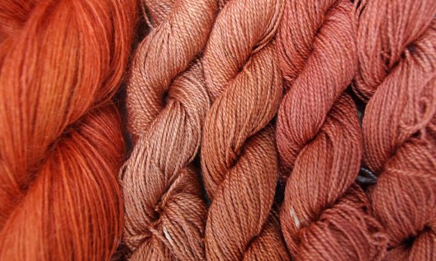 Dyeing Special Interest Group