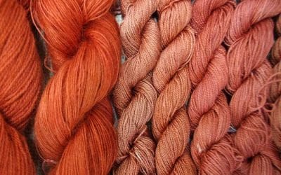 Dyeing Special Interest Group